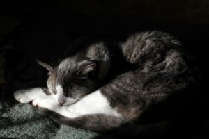 休職をするメリットとデメリット